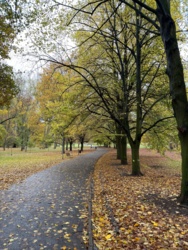 90a63ab8-5ebe-48e6-a5fd-1e53296967e9