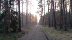 c54f1727-eb34-4e65-8b1b-b839102a0598