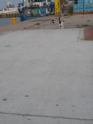 681030c7-78bd-4e98-bcf5-11e1a678182c