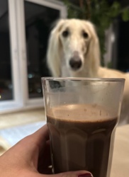 fb6162ee-93b2-4f83-93a9-dfc691e8852a