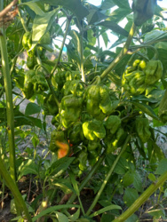 67d85801-895d-4b31-9f69-2210d8b924bc