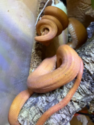 4fbd9f26-6190-4add-b9c8-1f888170fb80