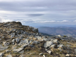 d02fa300-c281-4dcc-bef3-5eebeb371cb3