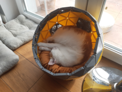 366eaa0a-afa2-462e-b5df-092199dcb1f1