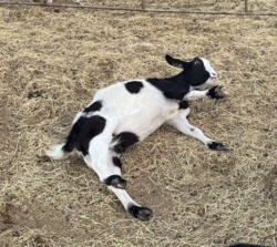 cd8a615e-c585-40e6-8a06-a97e746f841a