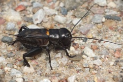 6f348179-8002-4692-9877-bb9c08e72b82