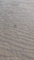 6fa51c39-f170-412b-9fa2-7ec95820919b