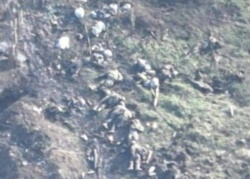 ecb3681a-c305-448c-abb5-c85c5c717782