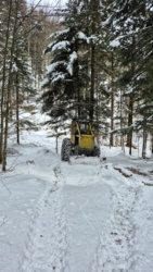 53ef5d29-ee92-4a41-bd2d-547bbfed7247