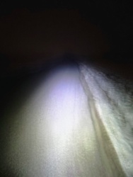 40b184bf-a8c9-4d64-9d01-b43a9c7f47a8