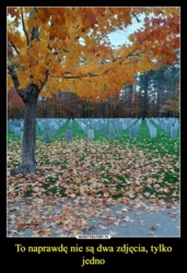 ec426acd-7360-40b9-be4b-f8d862890d56