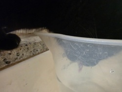 07dc8d02-43e0-4b55-b9f6-16a4f9d0a42a