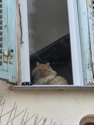 b4143927-54e6-41f4-9c4d-3a3af6350891