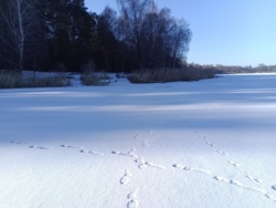 7a4b7743-59f9-42db-b566-e740e61de847