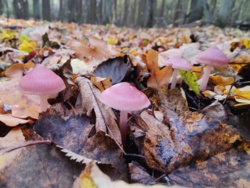 077ee62d-6316-48bc-b925-29a008cfeef3