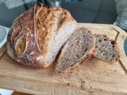 e75ca758-2ce0-4937-af3b-ff86a496e408