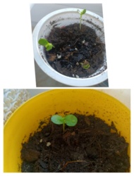 f9a9f661-3932-415a-a642-9304be830f66