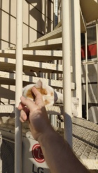 c95ece99-23a8-47c5-8520-80377c4361f2