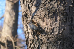 970deb3f-b293-40ff-a13d-f11054aa93e7