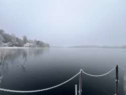 577bc77f-90a3-4f07-93d7-9d3364144127