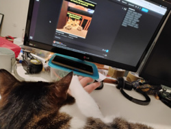 1f703409-f7b8-4992-90de-dffcaa9e9535