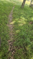 640f8ff1-23bf-4507-a1a9-b20de0526af5