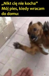 02b46986-7a27-49d8-9df8-3eb31afdd958