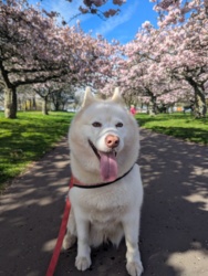 e90b0fe7-4658-46dc-870b-2a48cac87f4a