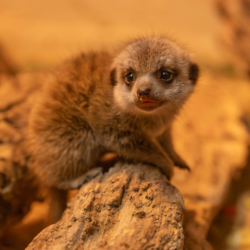 892d660b-4f3a-4e0f-a73b-40da11957115