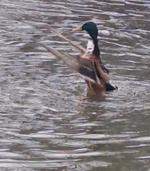 f61b2bdf-ffc4-45ce-a6ab-b16988c37ee9