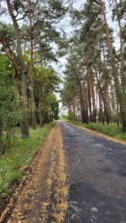 714138d6-8711-4c7e-9ad3-9924837d1ac6