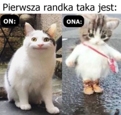 37c255c1-bcc0-4769-a760-5dc45cab5596