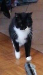 7f87dc87-b3ef-4a3d-ac9b-4c1e97a0b6ed