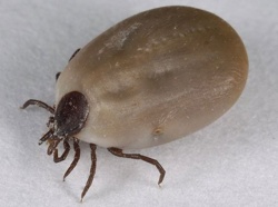 9e6082f4-57c9-4ec7-9df3-005bc4a0676b