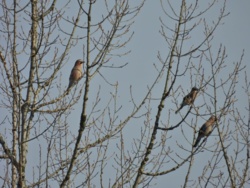 ceb3b8dd-3a75-49dd-bb7c-5326ba7482d7