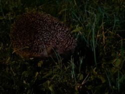 c07a1aba-4782-4925-a2ae-16fe4737b7e6