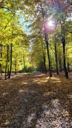 8a524c05-099b-4a46-bd5c-929cfc0f5b14