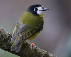 3bce16f0-f169-4775-93b0-0f29c355ae44