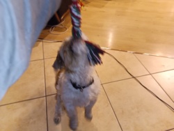 e6275f3b-57ca-4e8a-b0b1-b4b788a02280