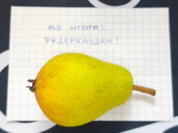 W jednym punkcie zatrudniam dwie dziewczyny.  Jedna, gdy coś spierdoli (często), to zaczyna się wykręcać, szukać winnych w koło, czasem kłamie lub mówi &quot;półprawdy&quot;. Druga, gdy coś spierdoli (rzadko), to karmi mnie gruszkami. #pracbaza