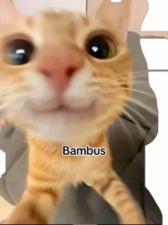 6857f6e9-fbd5-418c-9112-2d11ca9a2930