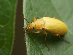 f0bb7075-bd42-43ca-ba5e-8ddd4f68b111