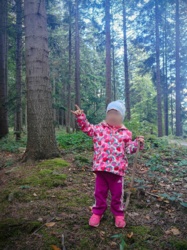 cb32b00c-6828-4a0a-9843-d05a2cdf658b