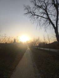 390232db-4825-44b5-a841-253ab455c09d