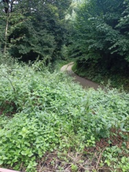 5e269aba-59d1-4606-aeed-b4a24bd390ff