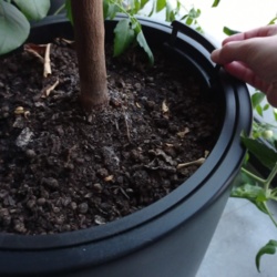 bbc990df-b222-4826-b0eb-cc51789391a3