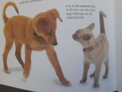 d3cd6275-ae36-4970-9cc1-785487967a7e