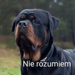 ecc310f9-2759-4a9d-90ba-ddb318f638da