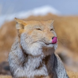 153b8ab7-3d7a-46d1-ab4a-932e2b723501