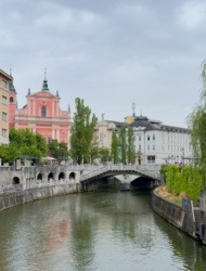 6ce29aee-3dc9-495f-89c4-823ff11b3d41